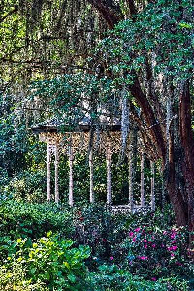 USA- South Carolina- Charleston. Magnolia Plantation